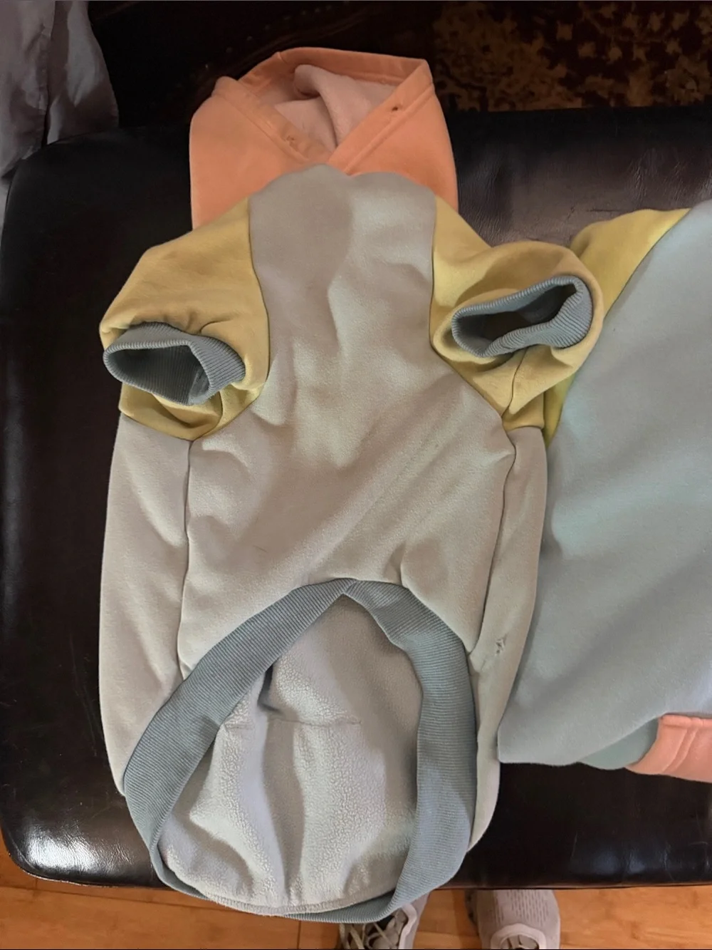 Spark paws Colorblock Pastel Hoodie - human hoodie dog hoodie